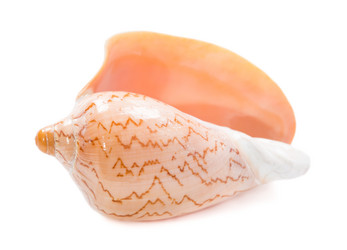 Similar image 5600454