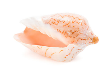 Similar image 5600455