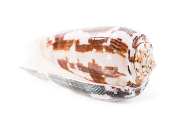 Similar image 5600456