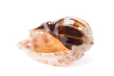 Similar image 5600457