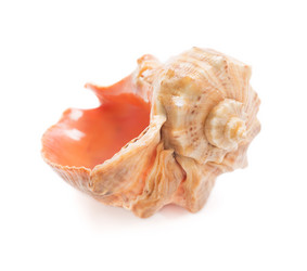 Similar image 5600458