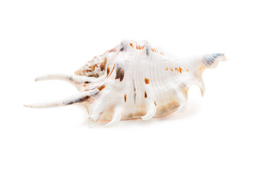 Similar image 5600460