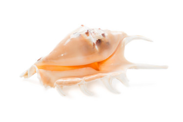 Similar image 5600461