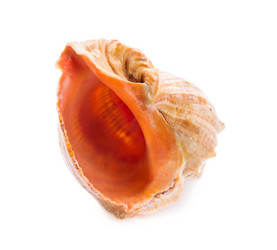 Similar image 5600463