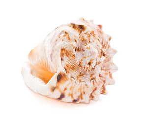 Similar image 5600464