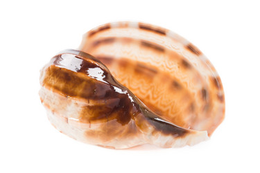 Similar image 5600465