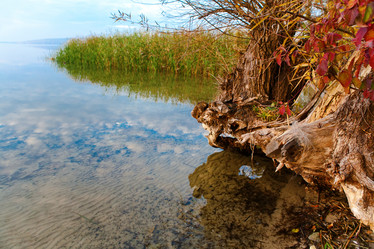 Similar image 5600543