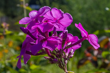 Similar image 5600553