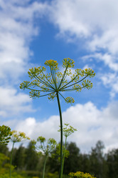 Similar image 5600555