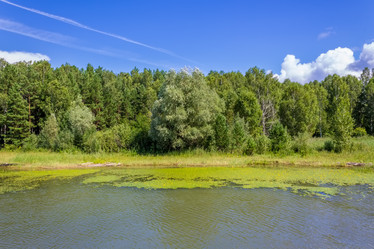 Similar image 5600556