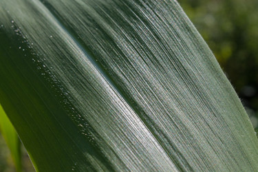 Similar image 5600558