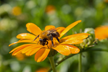 Similar image 5600562