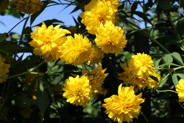 Similar image 5600563