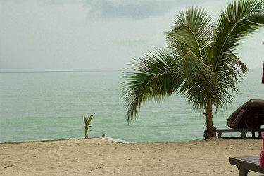 Similar image 5600851