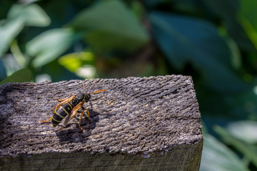 Similar image 5600894