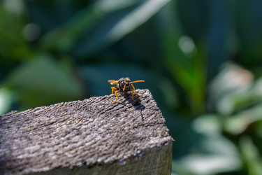 Similar image 5600895