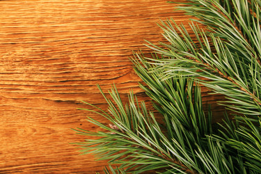 Similar image 5601001