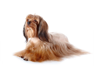 Similar image 5601037