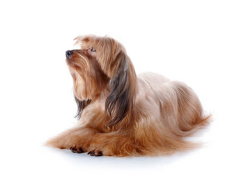 Similar image 5601038