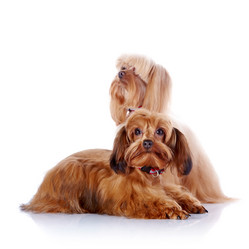 Similar image 5601045