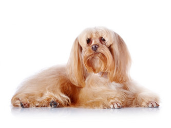 Similar image 5601046