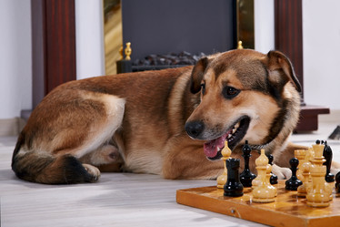 Similar image 5601047