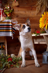 Similar image 5601049