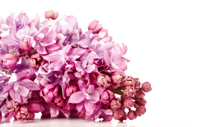 Similar image 5601051