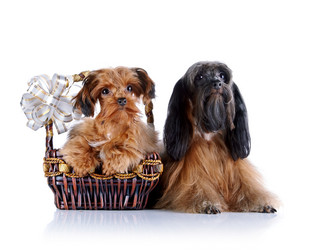 Similar image 5601052