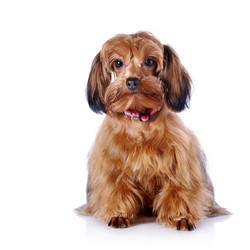 Similar image 5601053