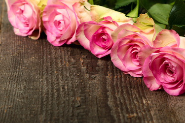 Similar image 5601057