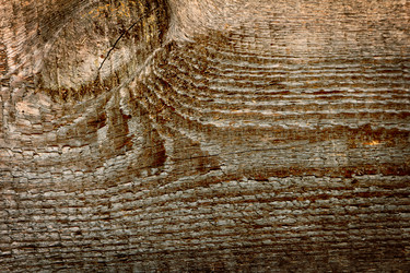 Similar image 5601060