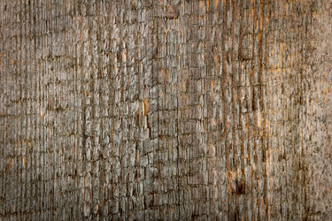 Similar image 5601061