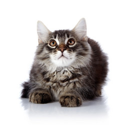 Similar image 5601072