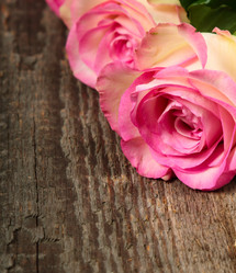 Similar image 5601076