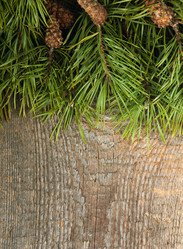 Similar image 5601085