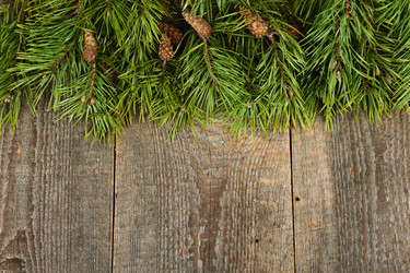 Similar image 5601086