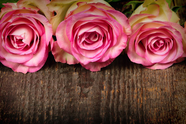 Similar image 5601088