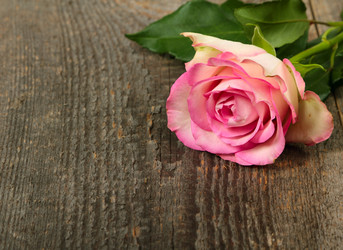 Similar image 5601089