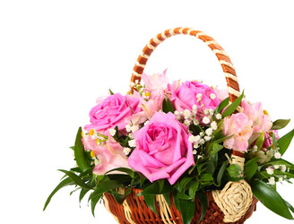 Similar image 5601095