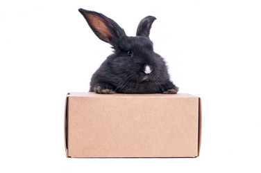 Similar image 5601113