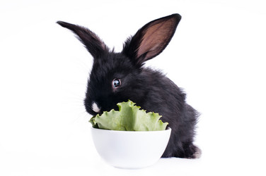 Similar image 5601116