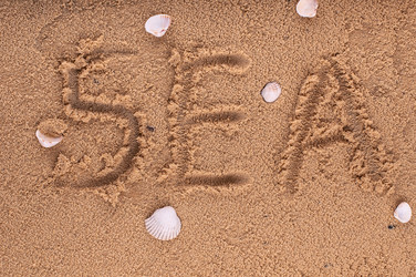 Similar image 5601117