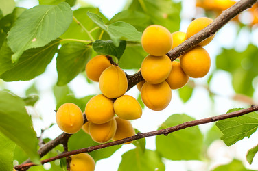 Similar image 5601120