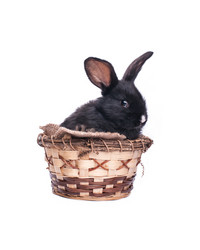 Similar image 5601128