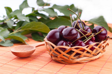 Similar image 5601133