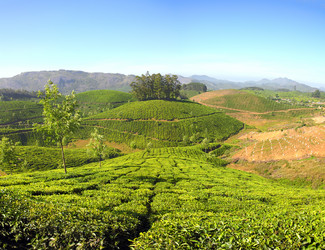 Similar image 5601157