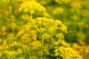 Similar image 5601173