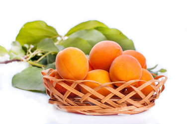 Similar image 5601205