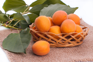 Similar image 5601214